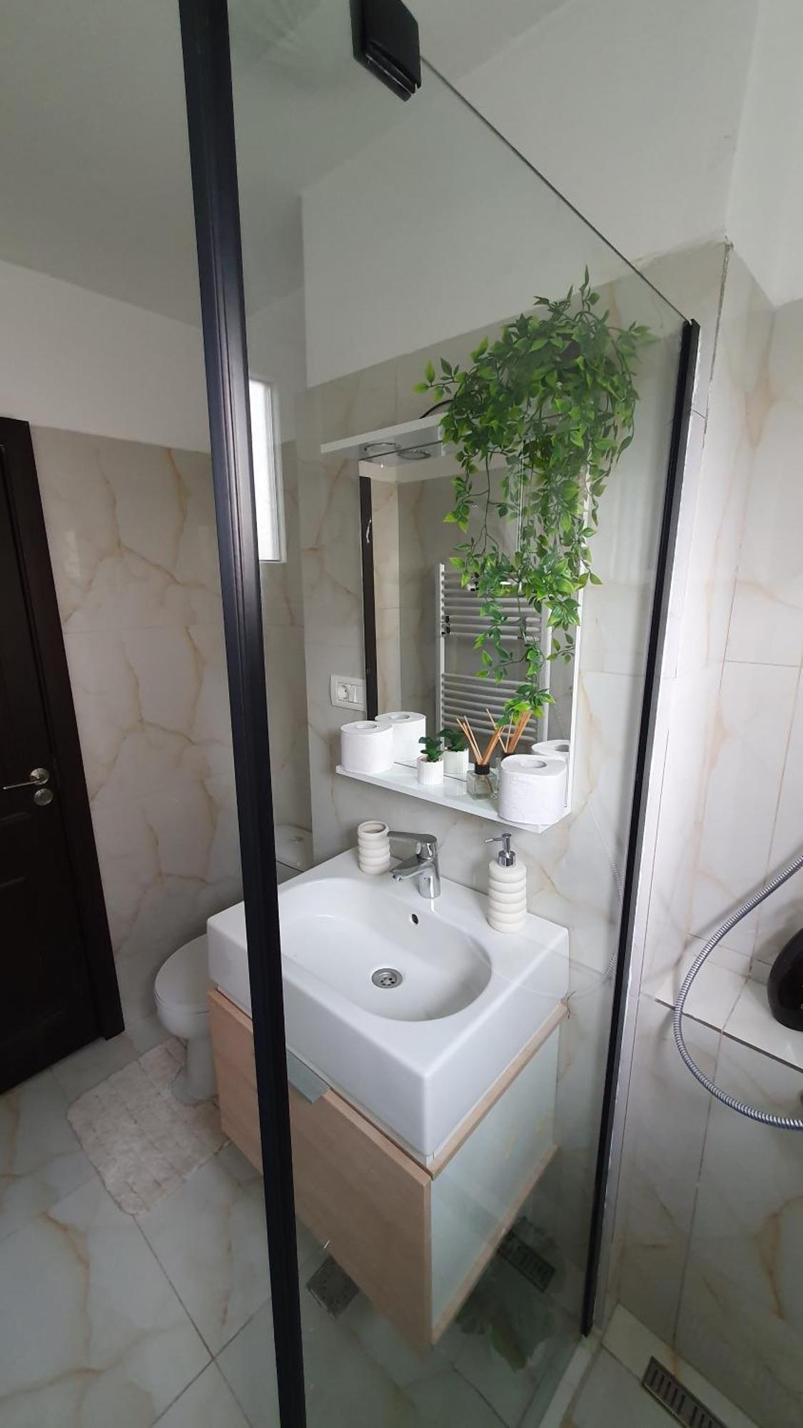 Andrei Apartment Brasov Ngoại thất bức ảnh