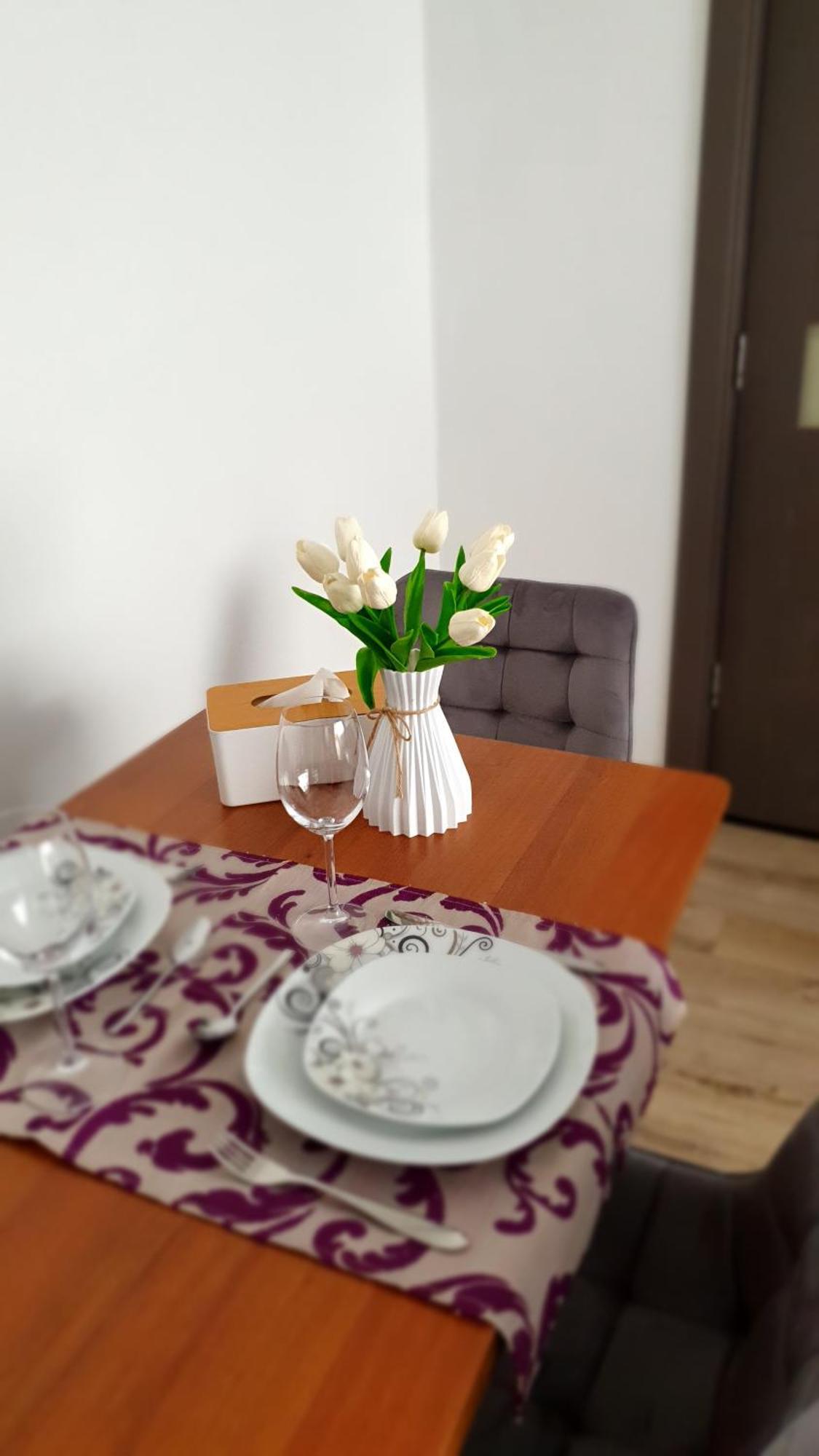 Andrei Apartment Brasov Ngoại thất bức ảnh